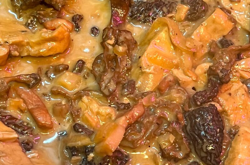 Poulet aux morilles